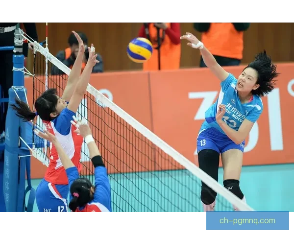 排球世界：技艺与激情共舞