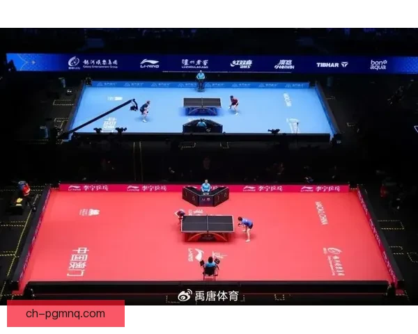 乒乓球杯赛：全球瞩目的顶尖对决