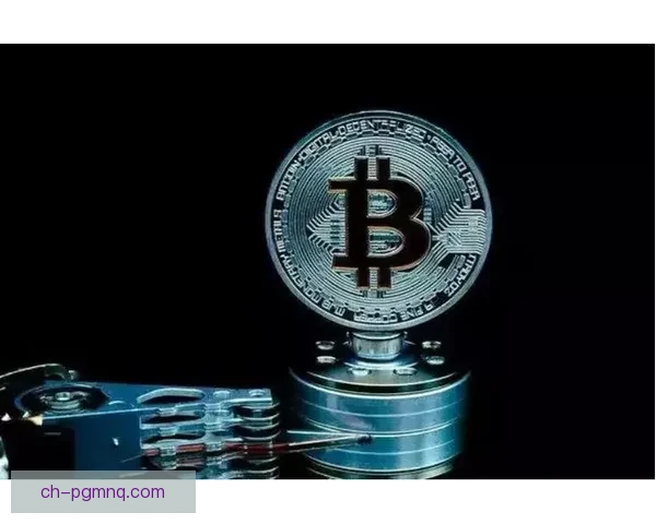 BMX盘口分析揭秘：背后的交易逻辑和风险控制策略