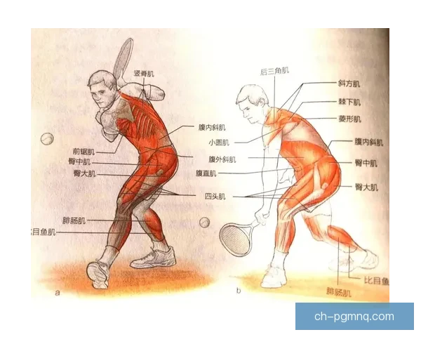 学习网球技巧的完整视频教程