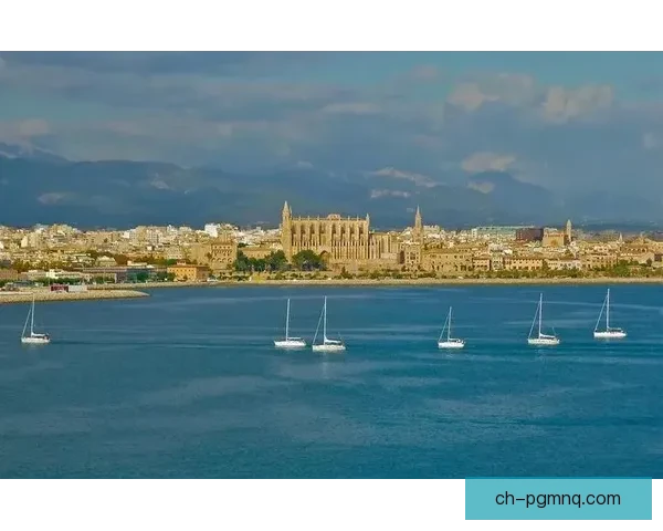 帆船投注技巧分享：提高胜率的秘诀大揭秘