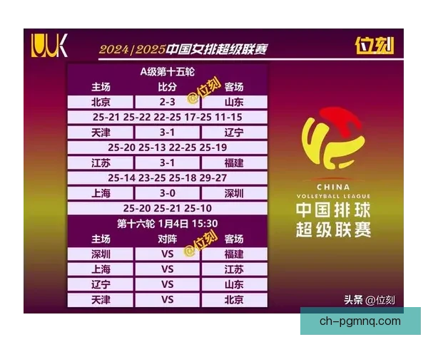 排球赛事盘点：深度解析各大赛积分榜