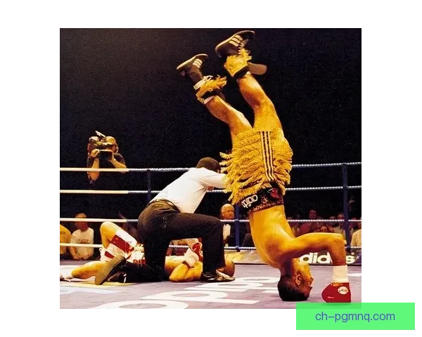 搏击风云：决胜拳坛，勇者争锋