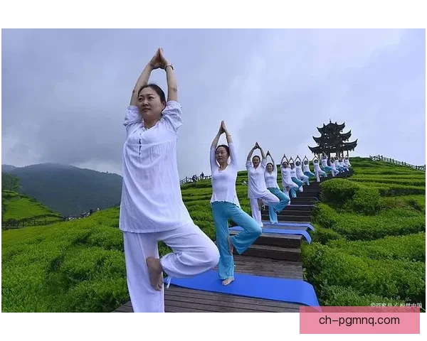 瑜伽竞技大赛：身心平衡下的优雅挥洒