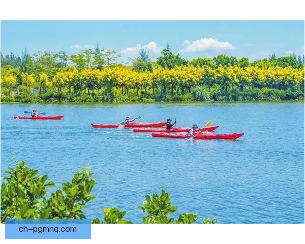 皮划艇积分榜：竞技风云，探索乐趣