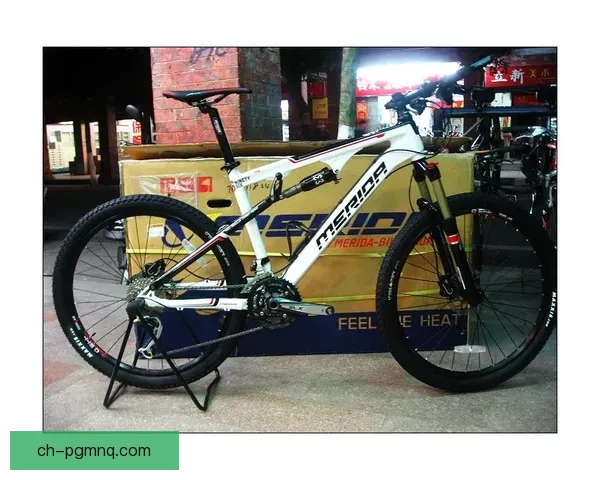 自行车冠军：骑行世界的征服者