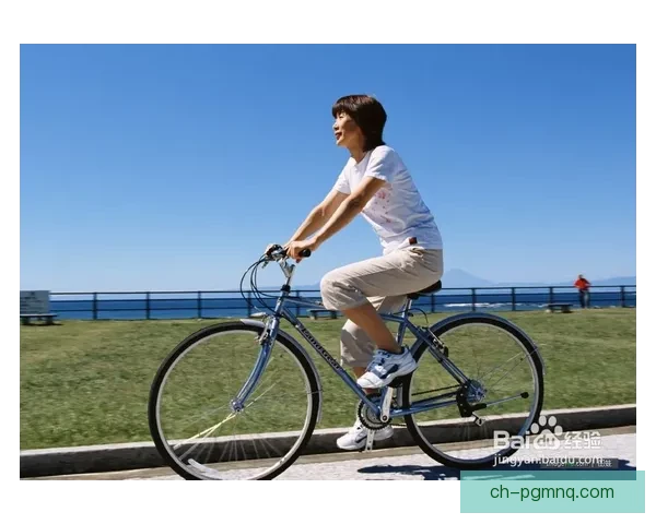 自行车赛事预测：揭秘背后策略与速度的较量