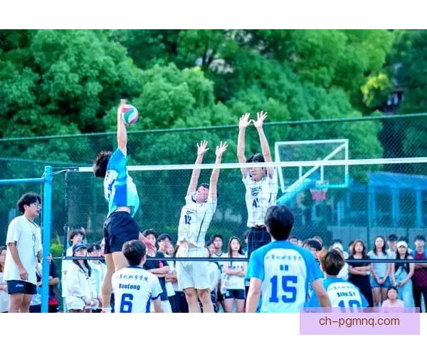 精彩纷呈：挑战盛夏，燃情排球赛事精彩呈现