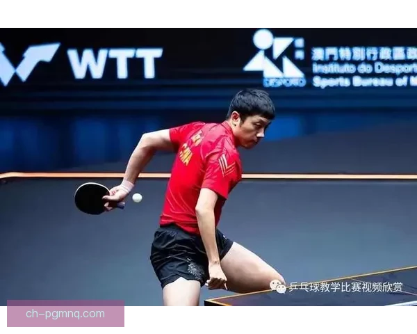 轻松学习乒乓球技巧，全方位教学视频分享