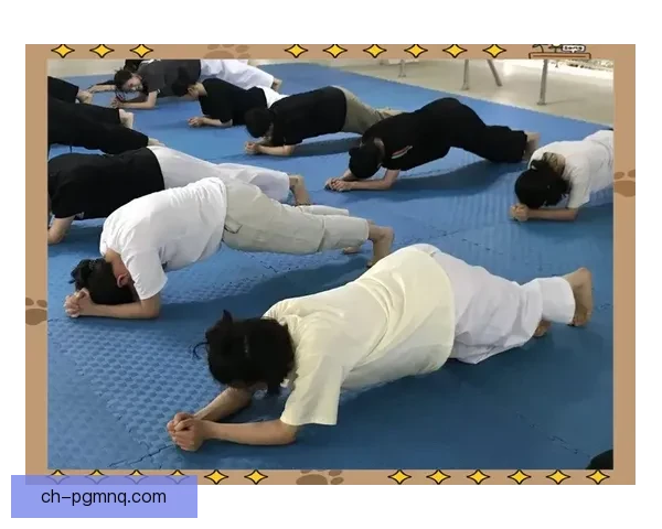 跆拳道基础入门指南