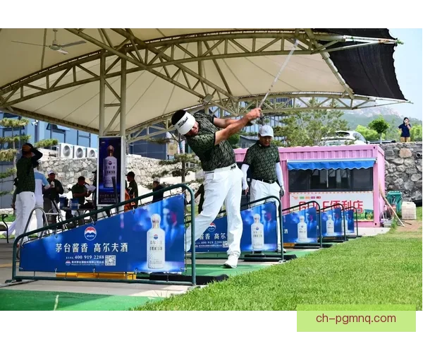 高尔夫公开赛：挥杆间的争霸风云